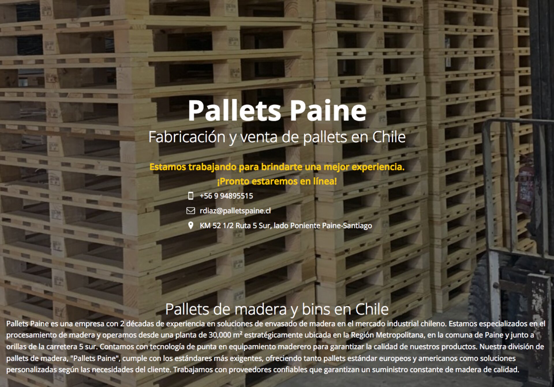 Pallets nuevos